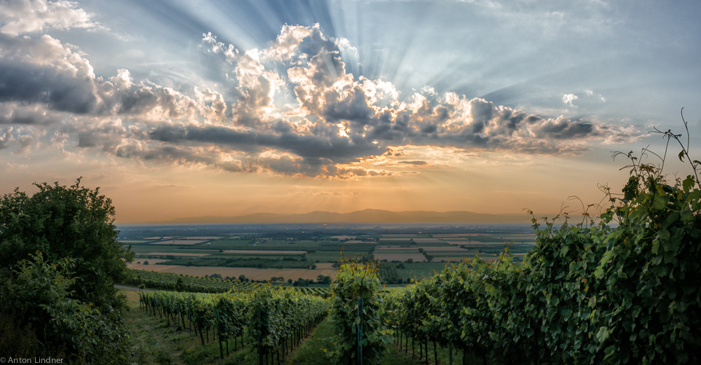 Blick in die Vogesen am Abend