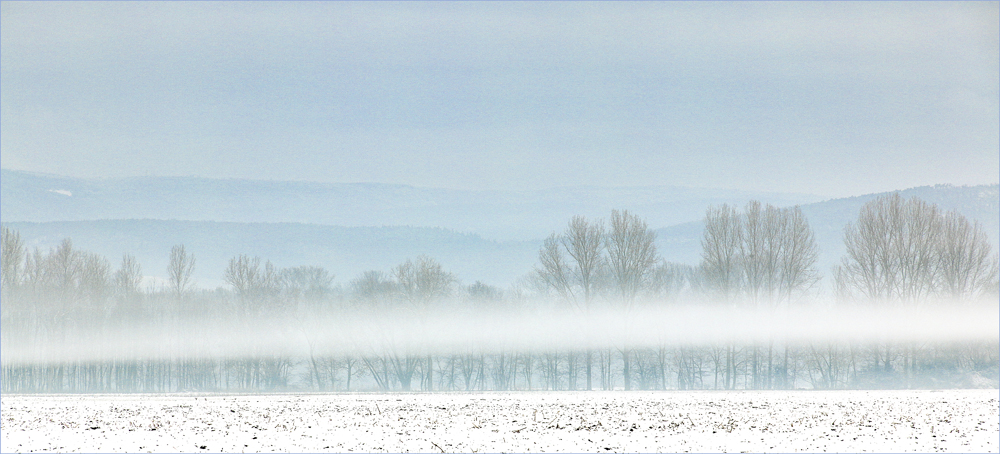 Blick in die Vogesen