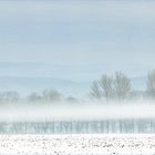 Blick in die Vogesen