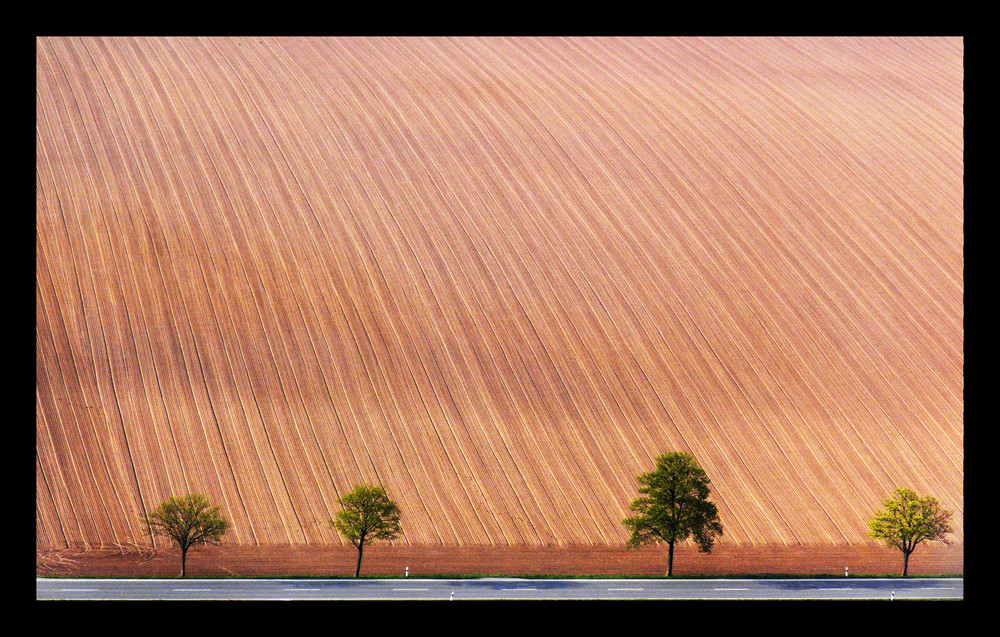 Blick in die Warburger Börde IV