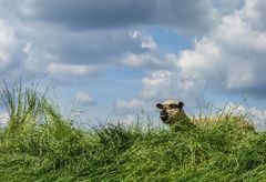 Blick in die Welt