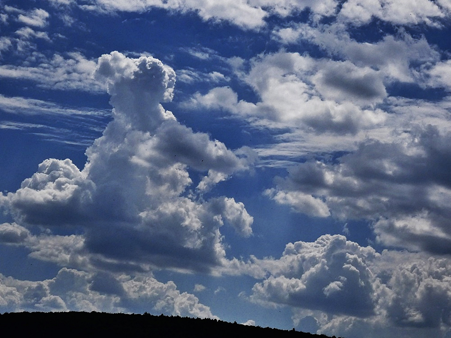 Blick in die Wolken ...