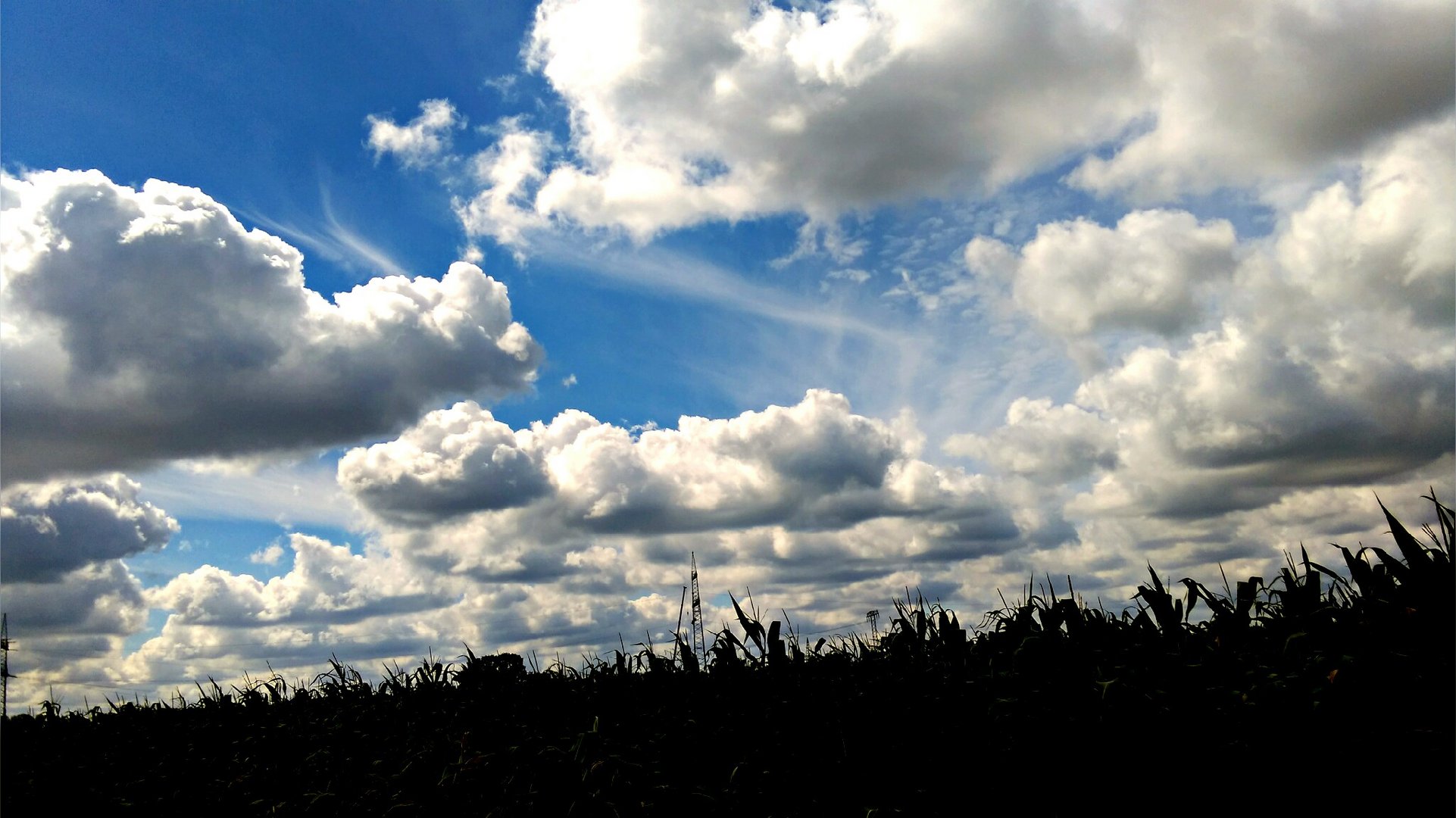 Blick in die Wolken