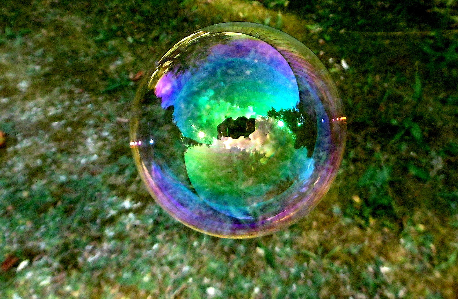 Blick In Die Zauberkugel Foto Bild Projekte Dienstag Ist Spiegeltag Spiegelungen Bilder Auf Fotocommunity Blick In Die Zauberkugel Foto Bild Projekte Dienstag Ist Spiegeltag Spiegelungen Bilder Auf Fotocommunity