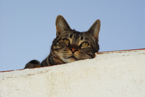 Blick in die Zukunft