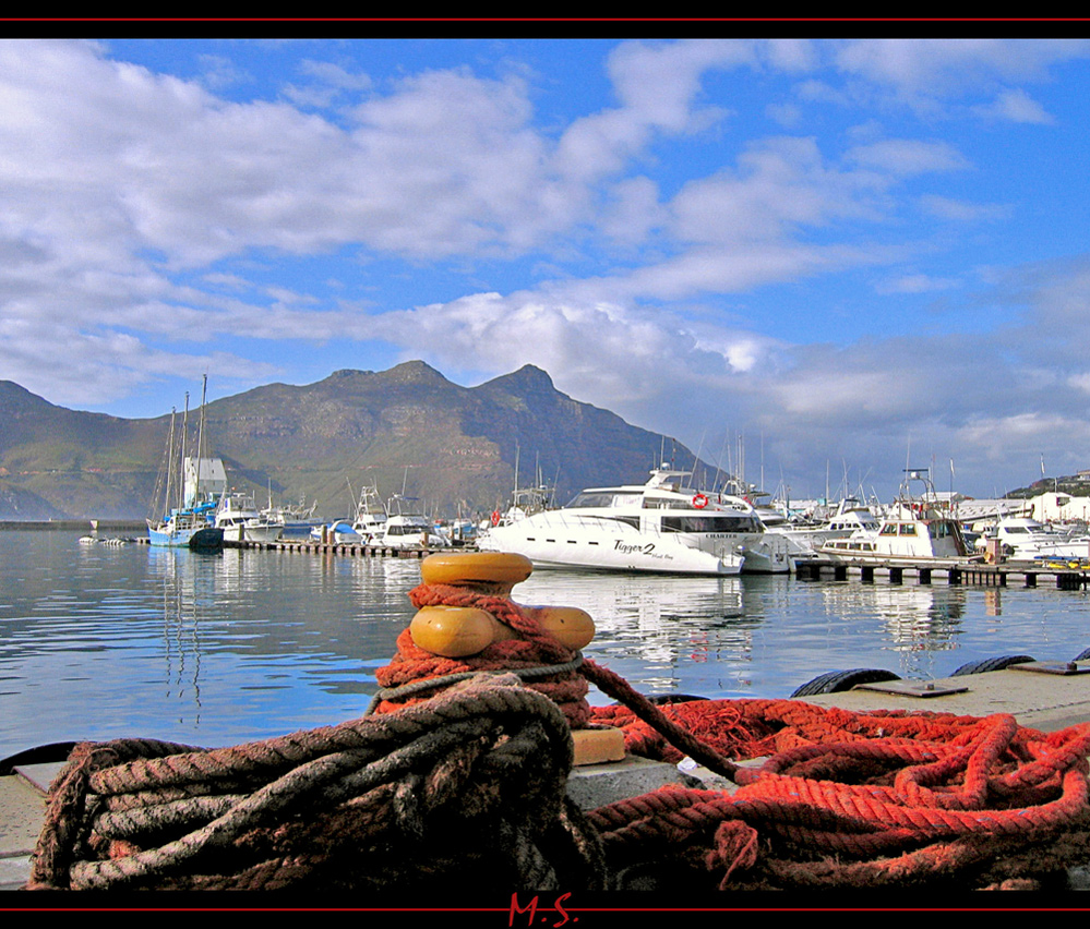 Blick in ein Hafen