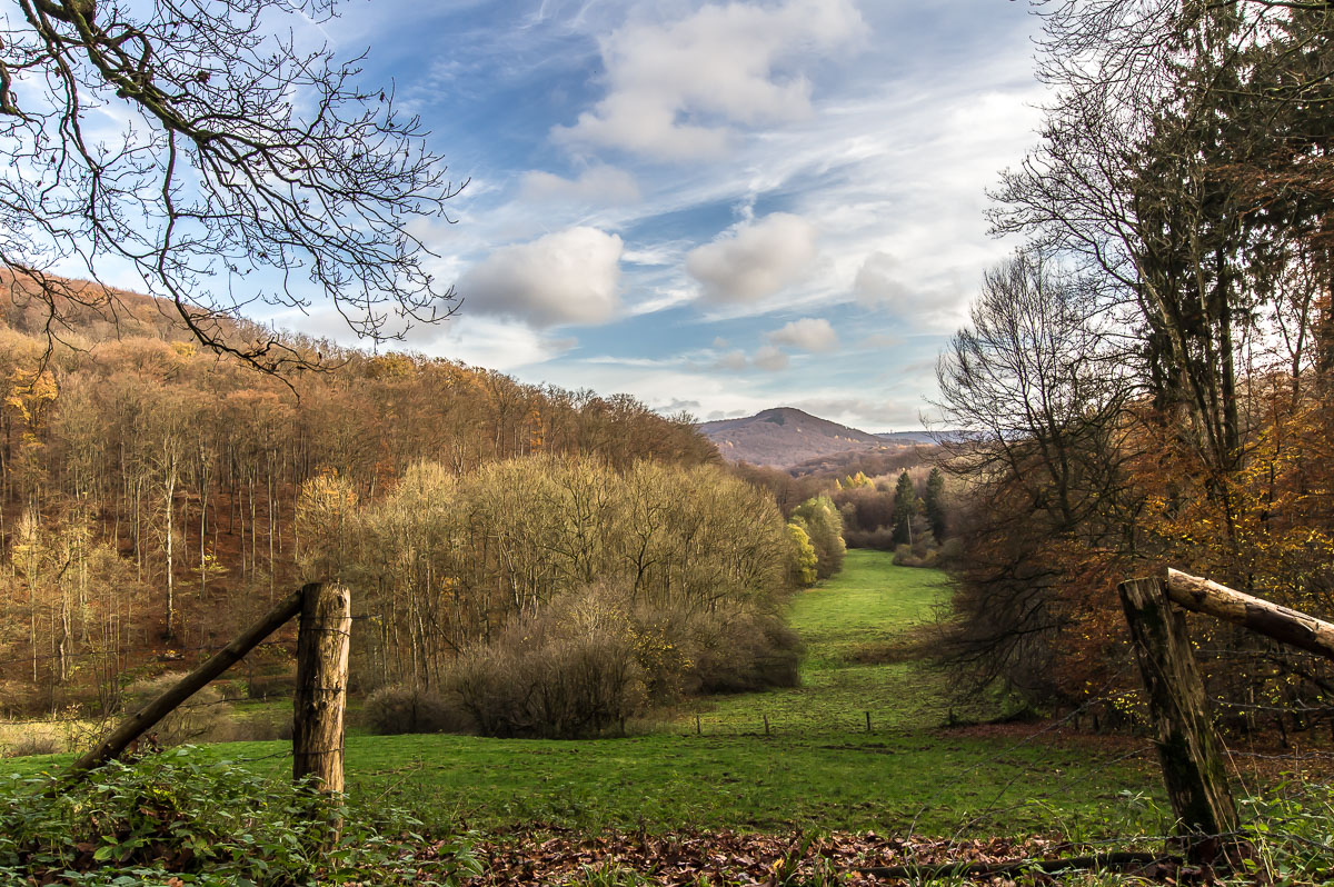 Blick in ein herbstliches Tal