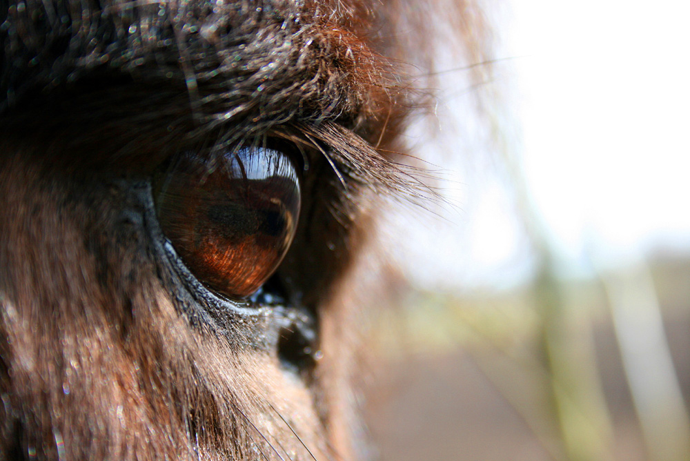 Blick in eine andere Welt