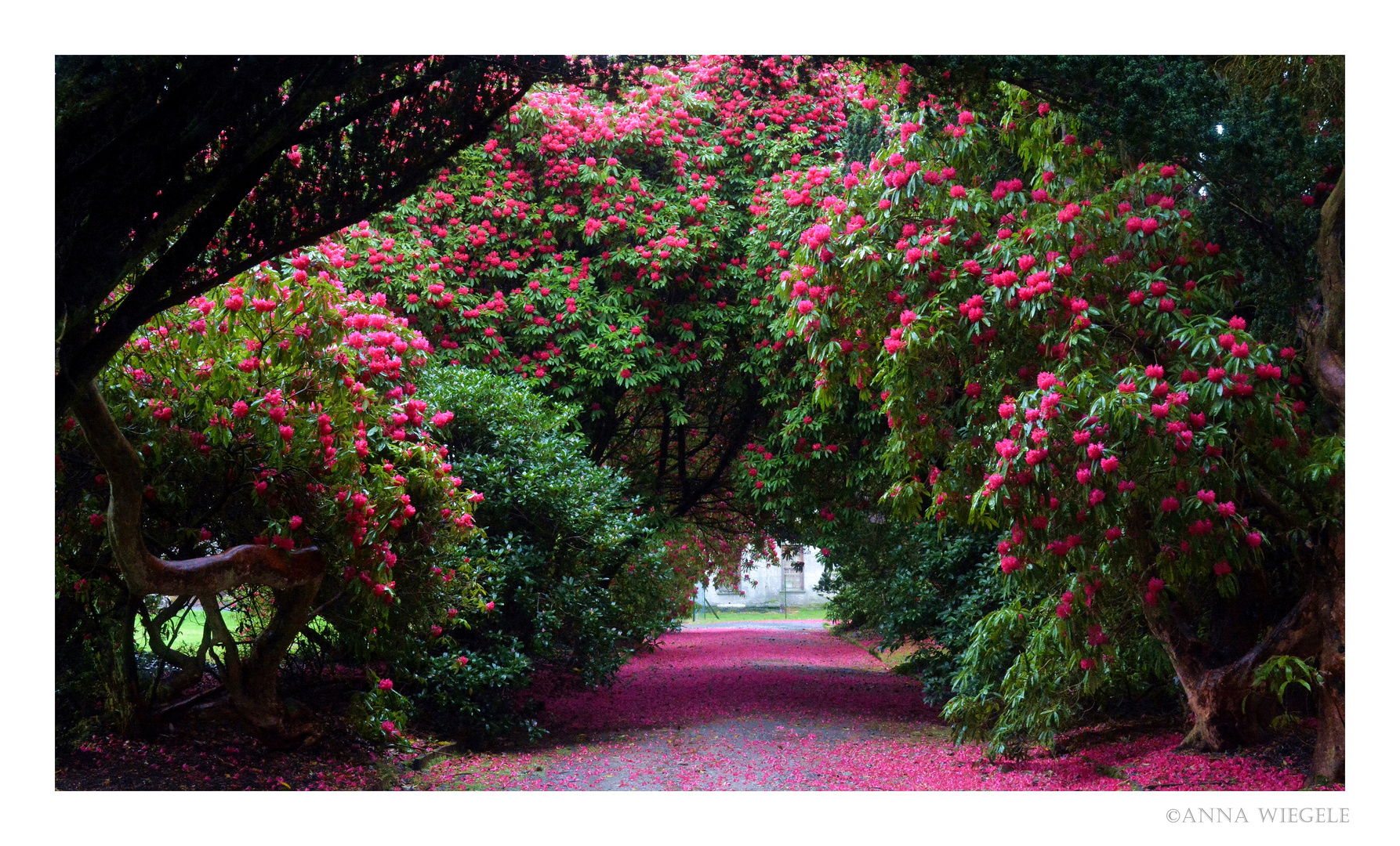 Blick in eine blumige Zukunft