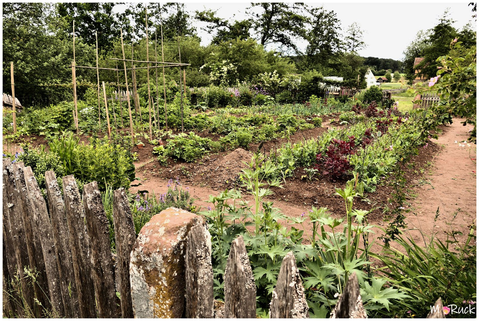 Blick in einen alten Bauerngarten.