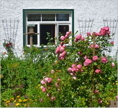 Blick in einen Bauerngarten