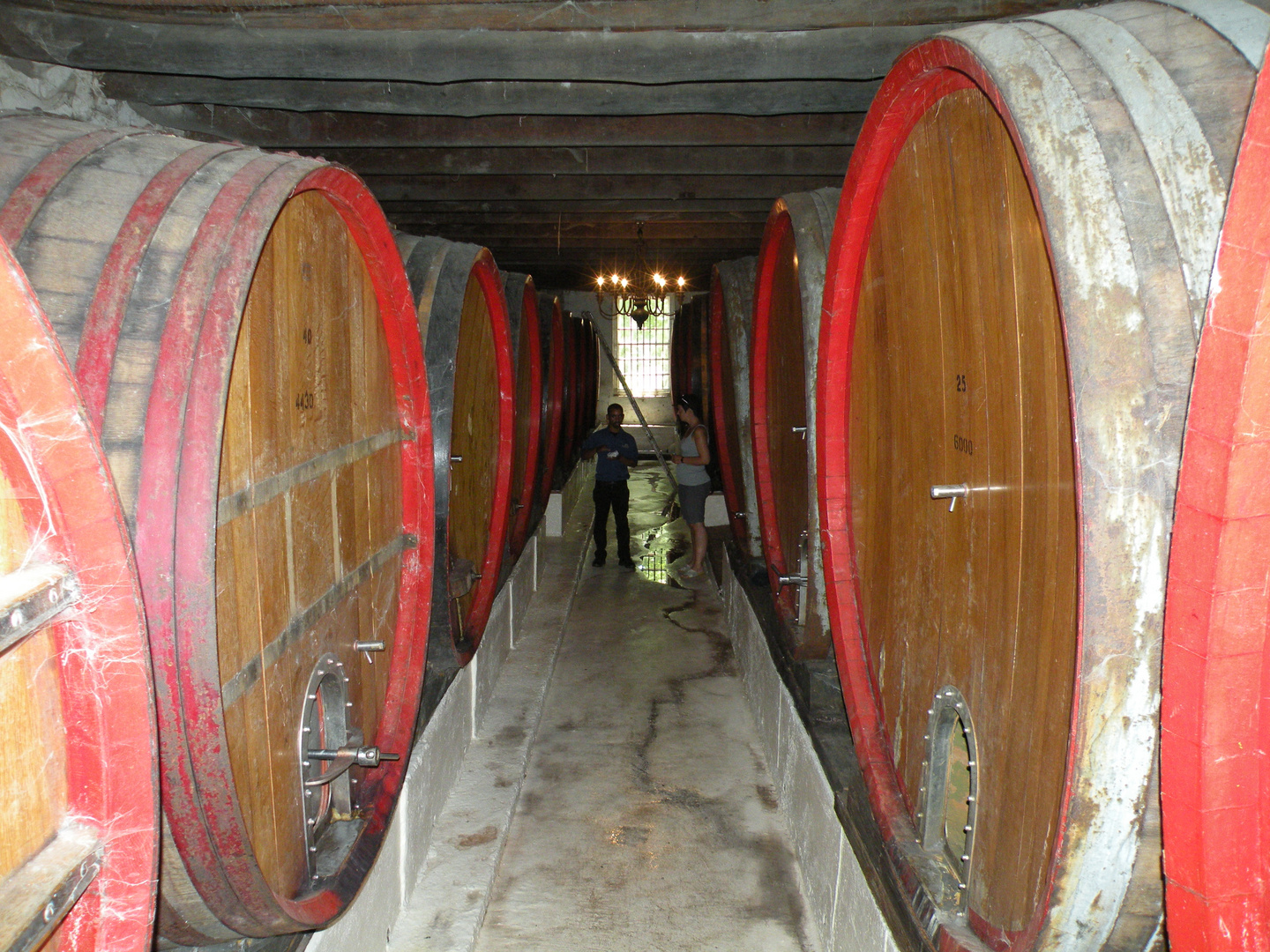 Blick in einen der Keller vom Weingut "Blaauwklippen"