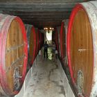 Blick in einen der Keller vom Weingut "Blaauwklippen"