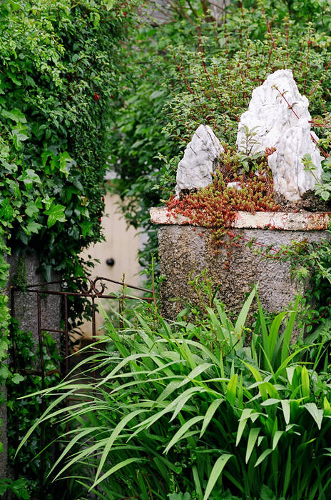 Blick in einen Garten in Irland