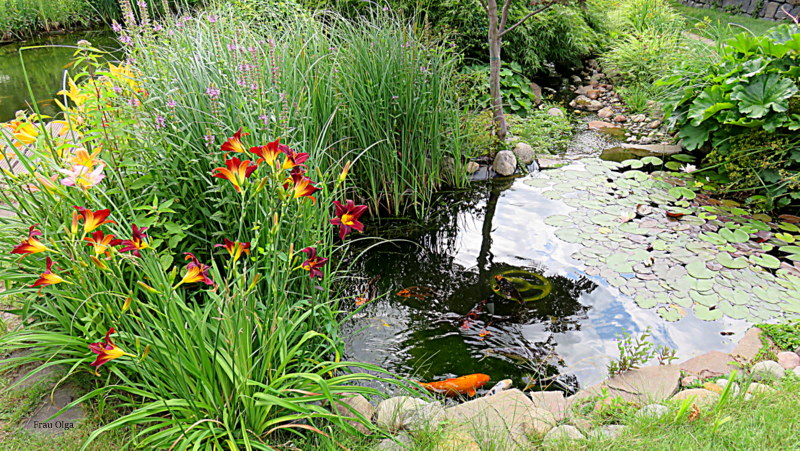 Blick in einen Offenen Garten