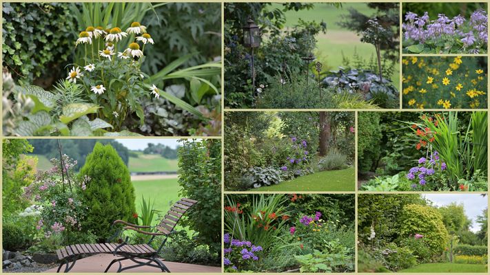 Blick in mein Garten