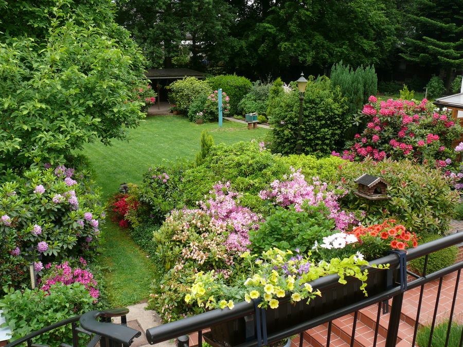 Blick in meinen Garten