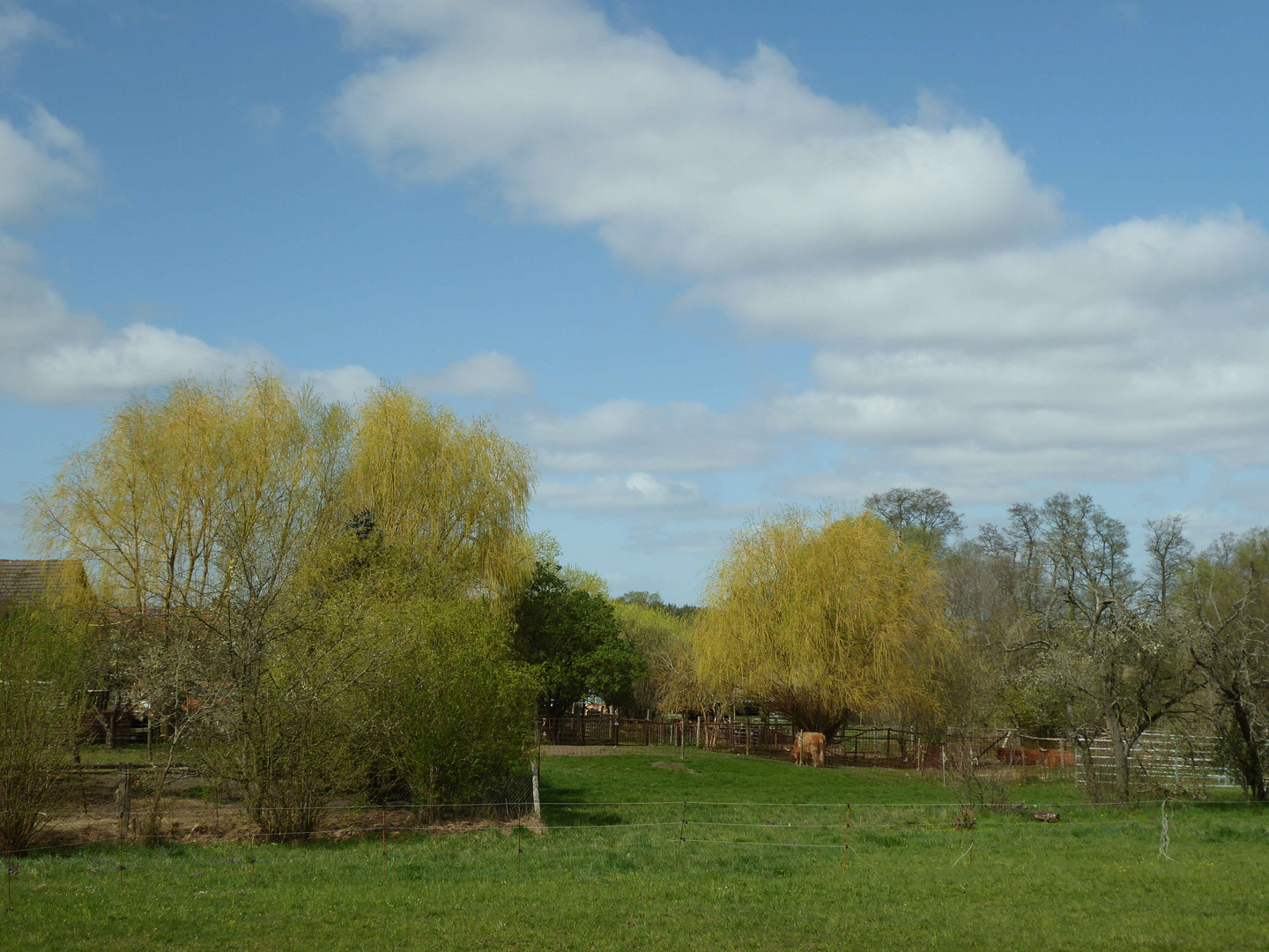 Blick in Nachbars Garten