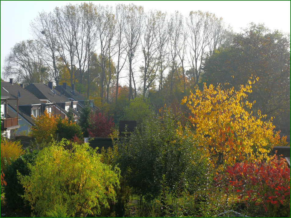 Blick in Nachbars Garten....