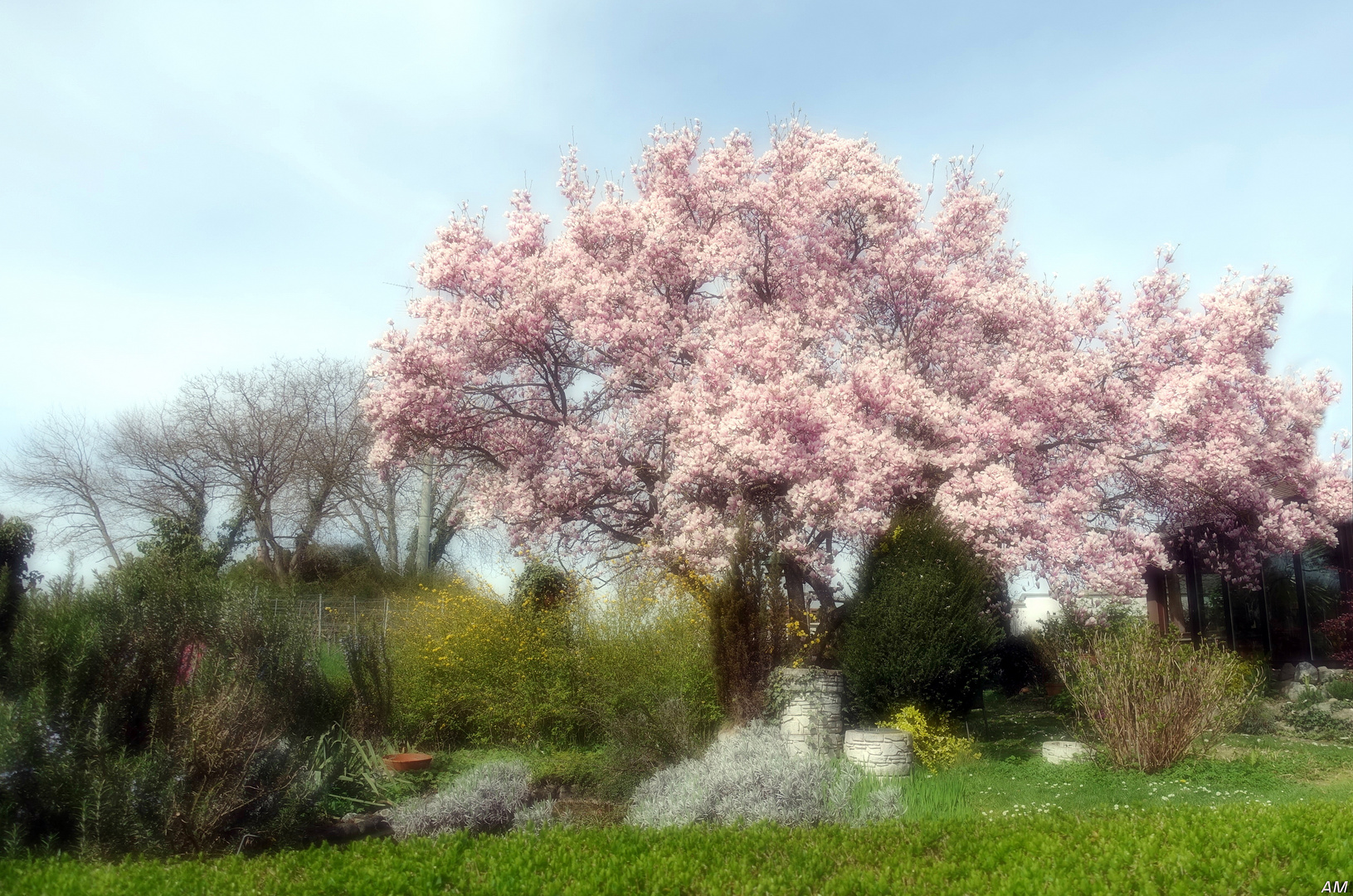 Blick in Nachbar's Garten