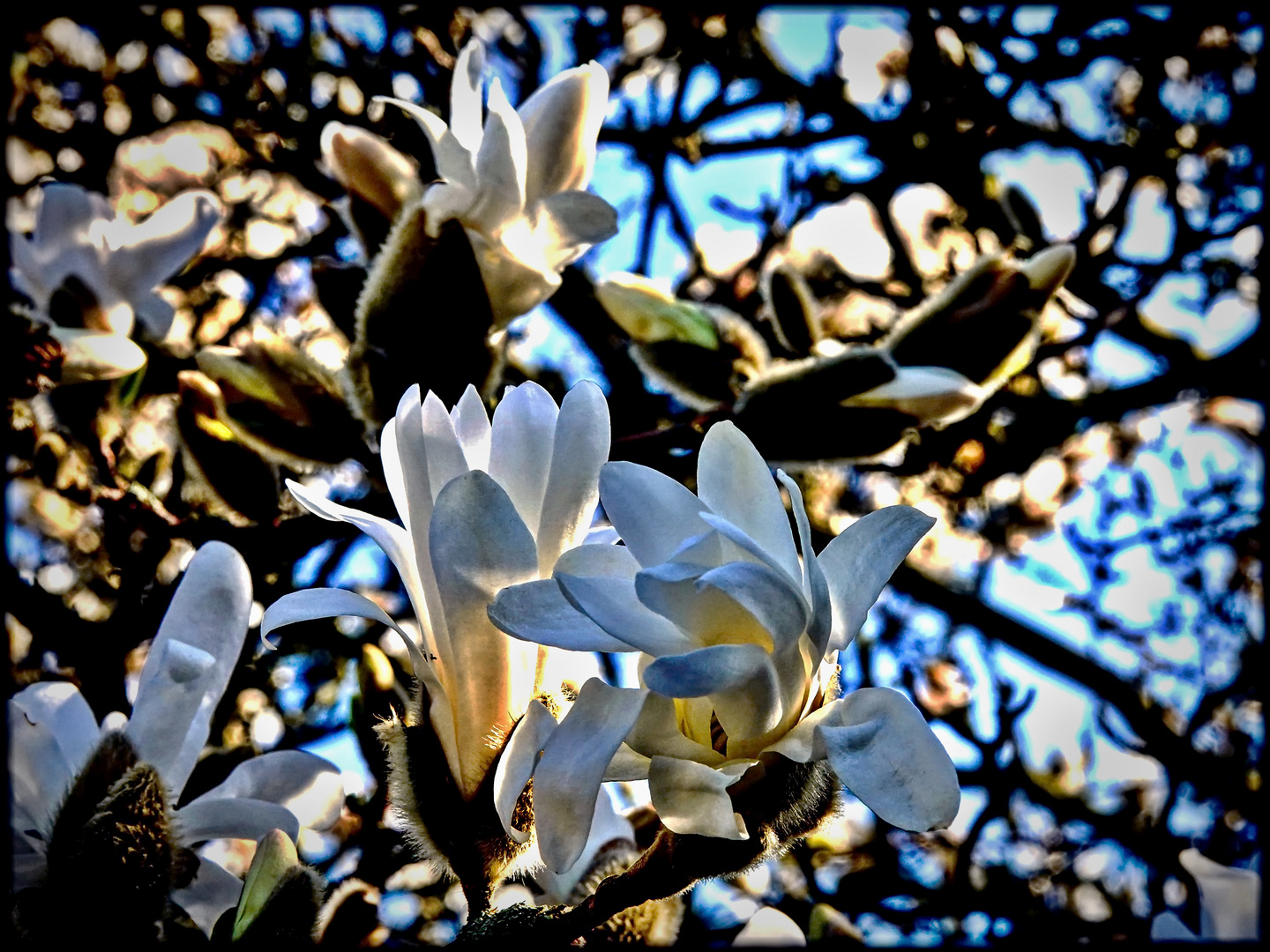 Blick in Nachbars Garten