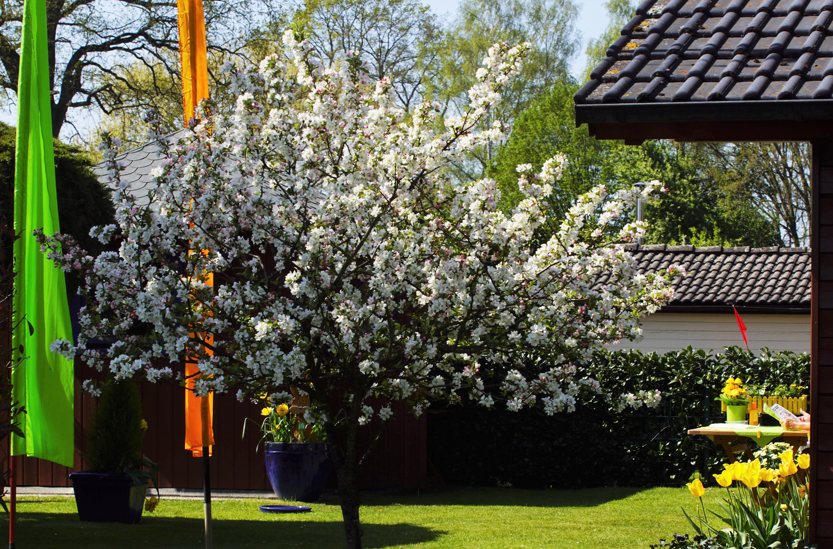 Blick in Nachbars Garten.