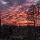 Blick in Nachbars Garten