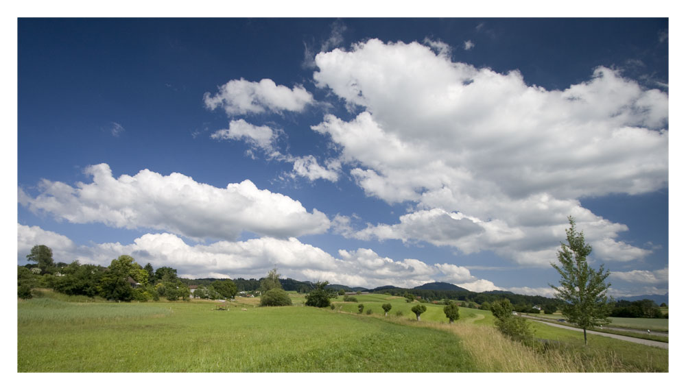 Blick in Richtung Bachtel