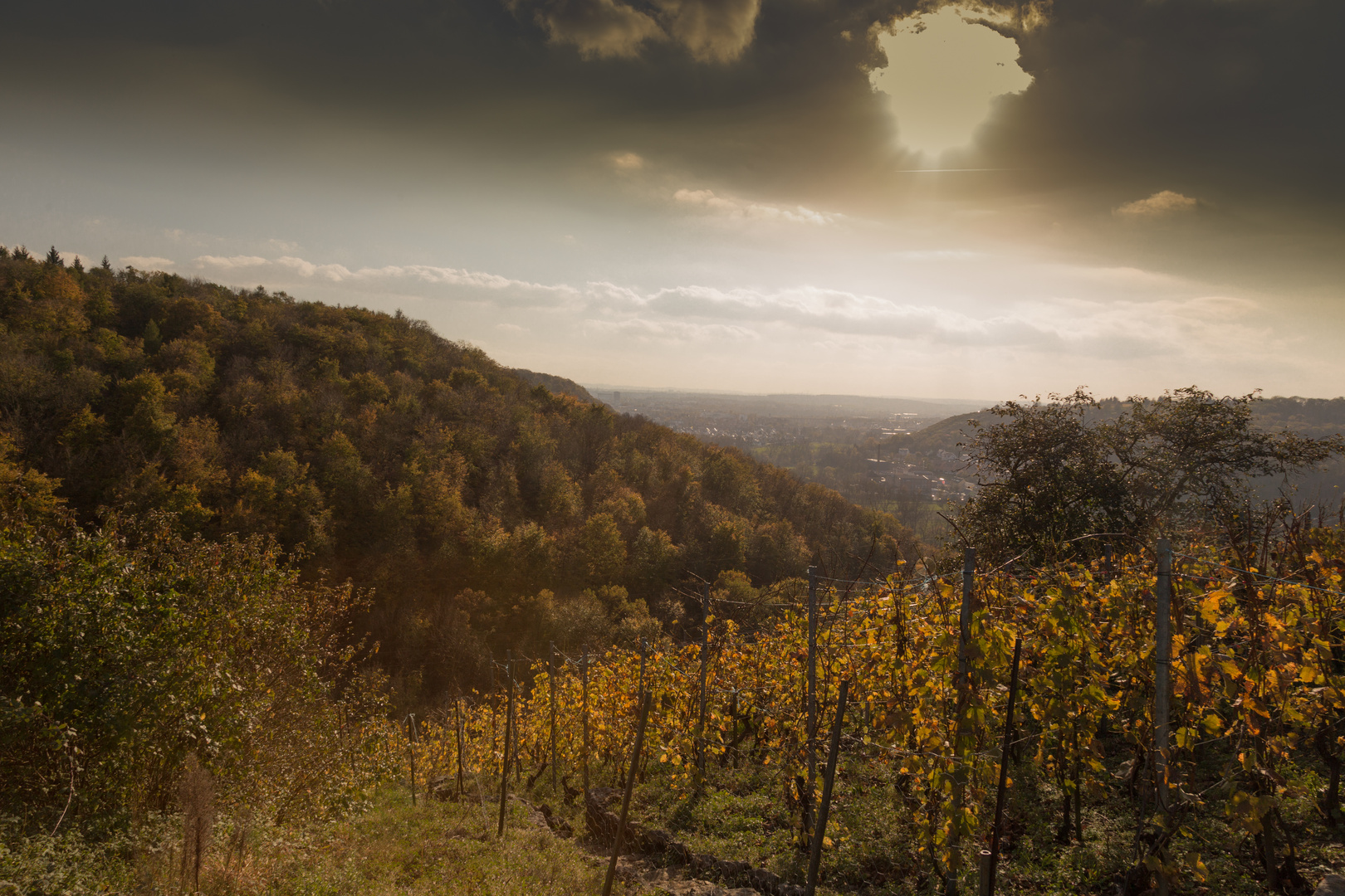  Blick in Richtung Bi-Bi