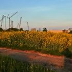 " Blick in Richtung die Fa. Liebherr bei Ehingen "