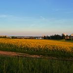 " Blick in Richtung Fa. Liebherr und der Stadt Ehingen "