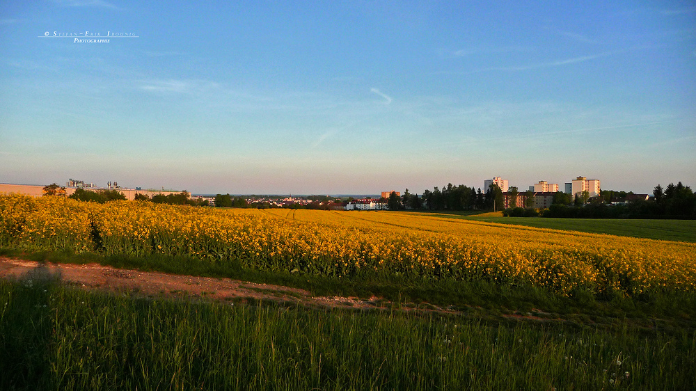 " Blick in Richtung Fa. Liebherr und der Stadt Ehingen "