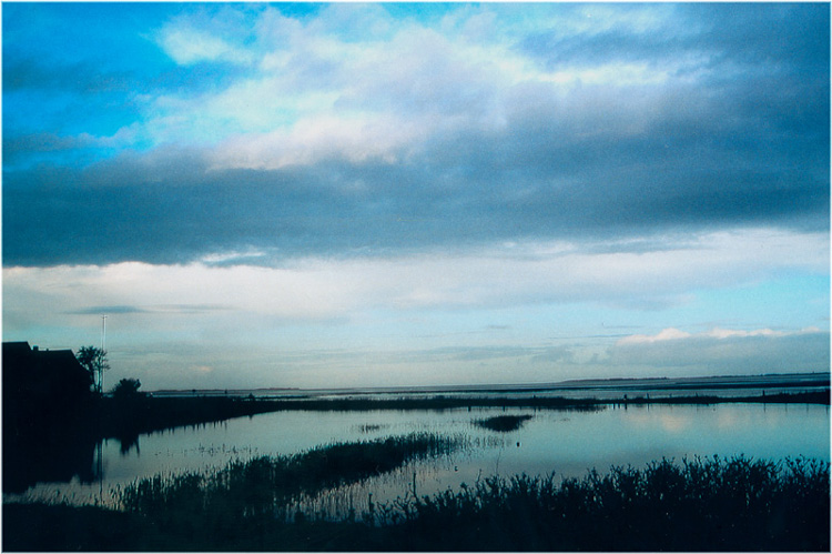 Blick in Richtung Festland