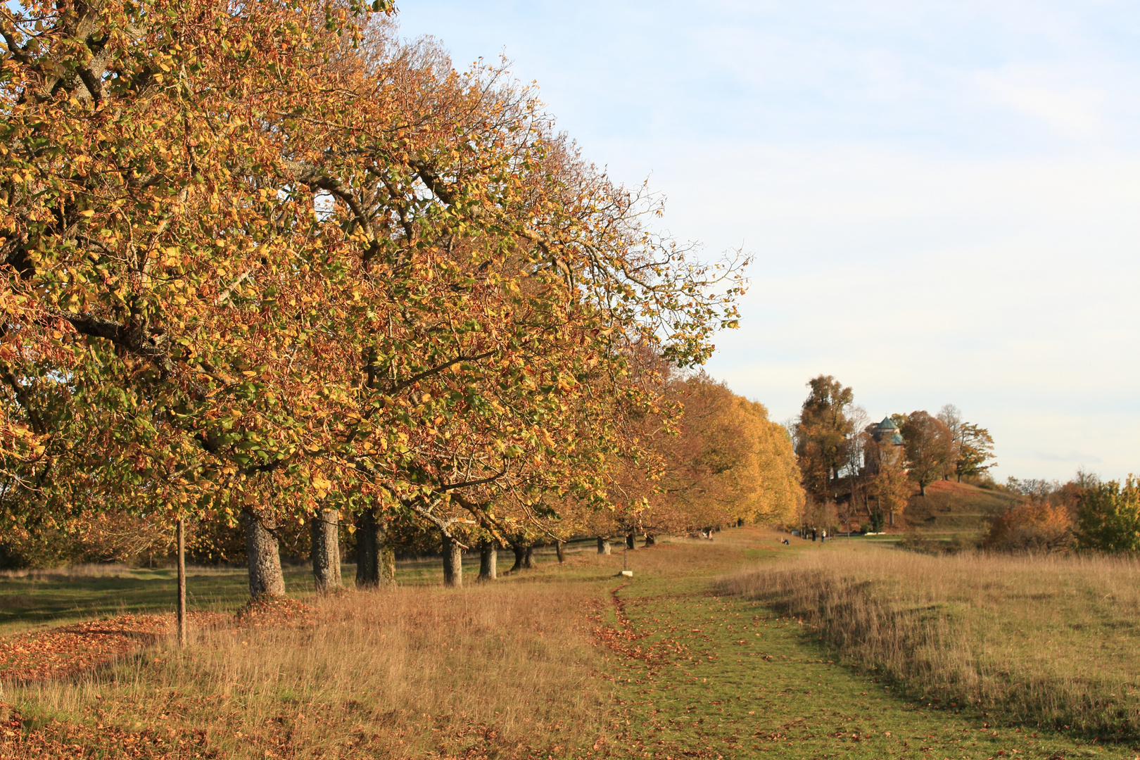 Blick in Richtung Frauenbergkapelle - Eichstätt