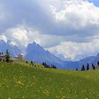 Blick in Richtung Monte Cristallo