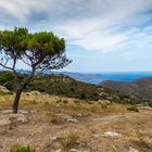 Blick in Richtung Port de la Selva, Costa Brava