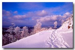 Blick in Richtung Rheinebene