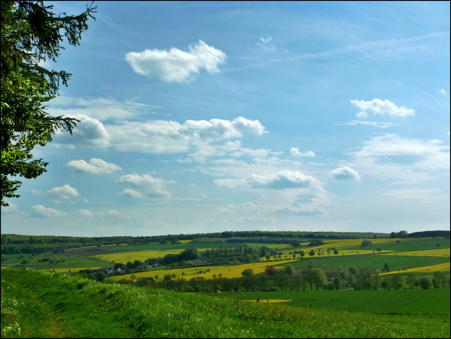 Blick in Richtung Schönhagen/Solling