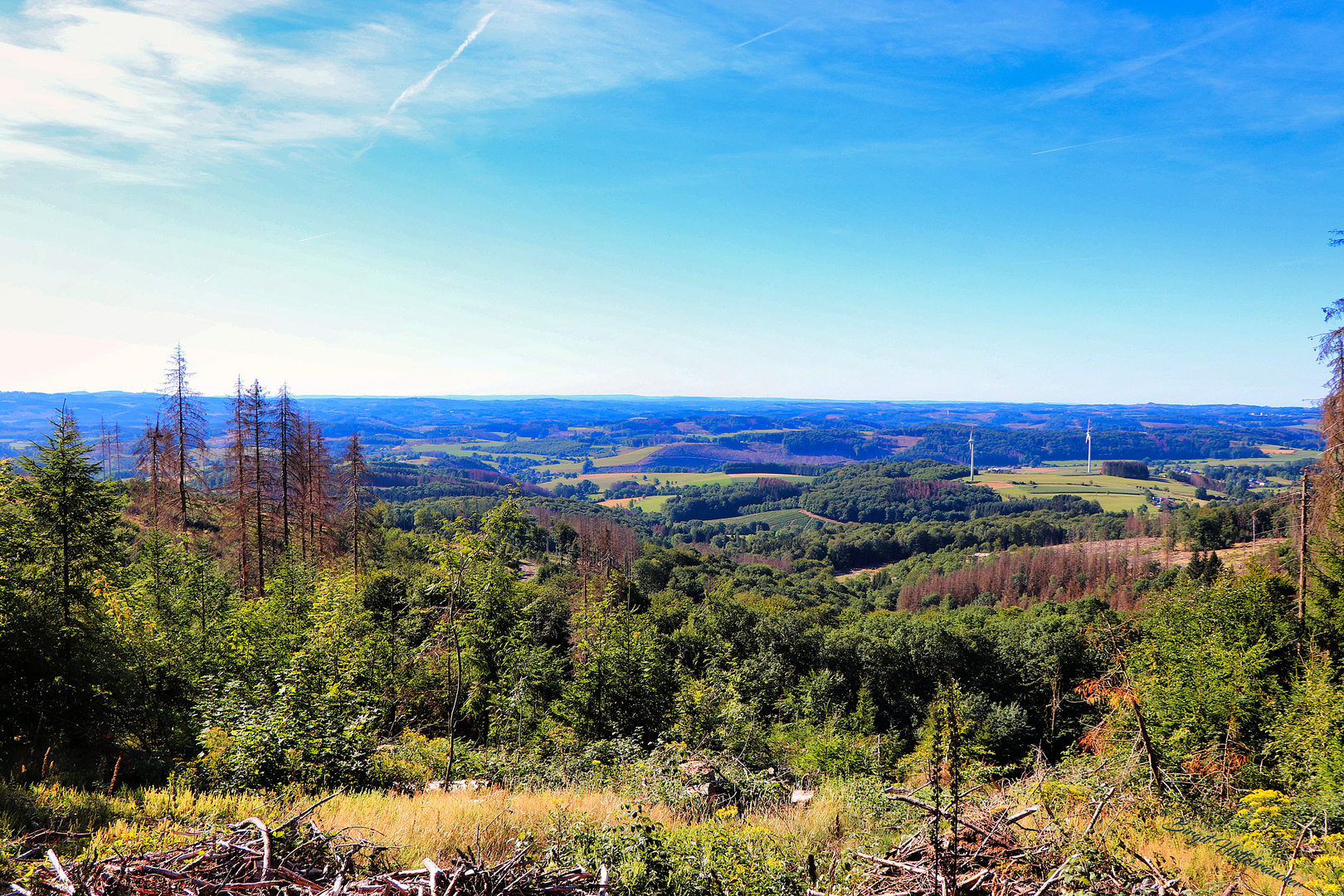 Blick in Richtung Valbert