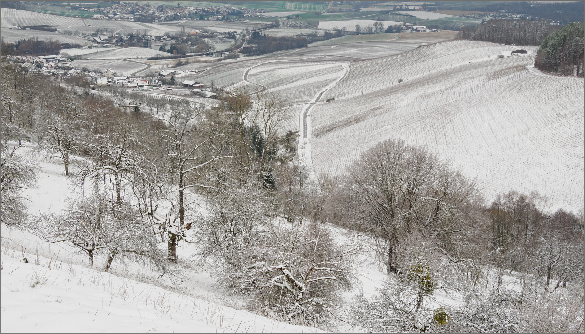 Blick in Richtung Weinsberger Tal