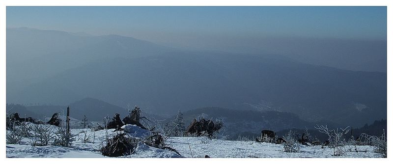 Blick in Richtung Westen