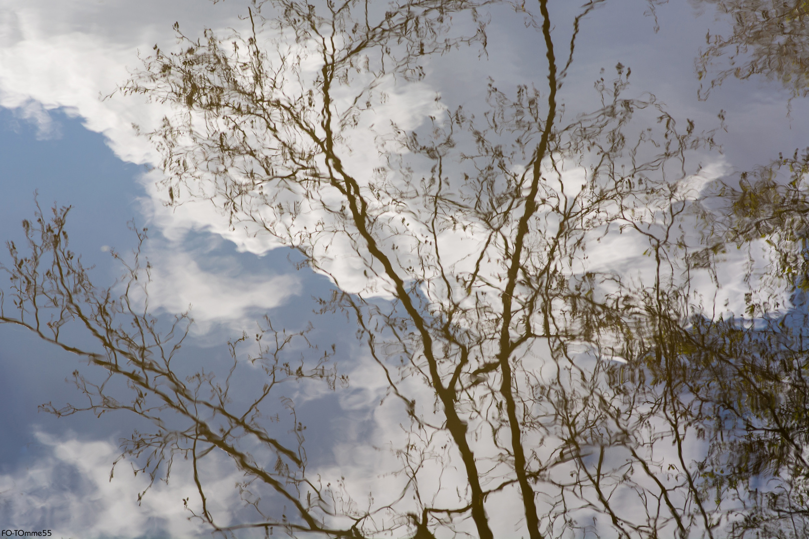 Blick in Teich und Himmel zugleich