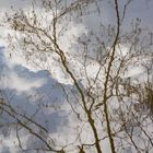 Blick in Teich und Himmel zugleich