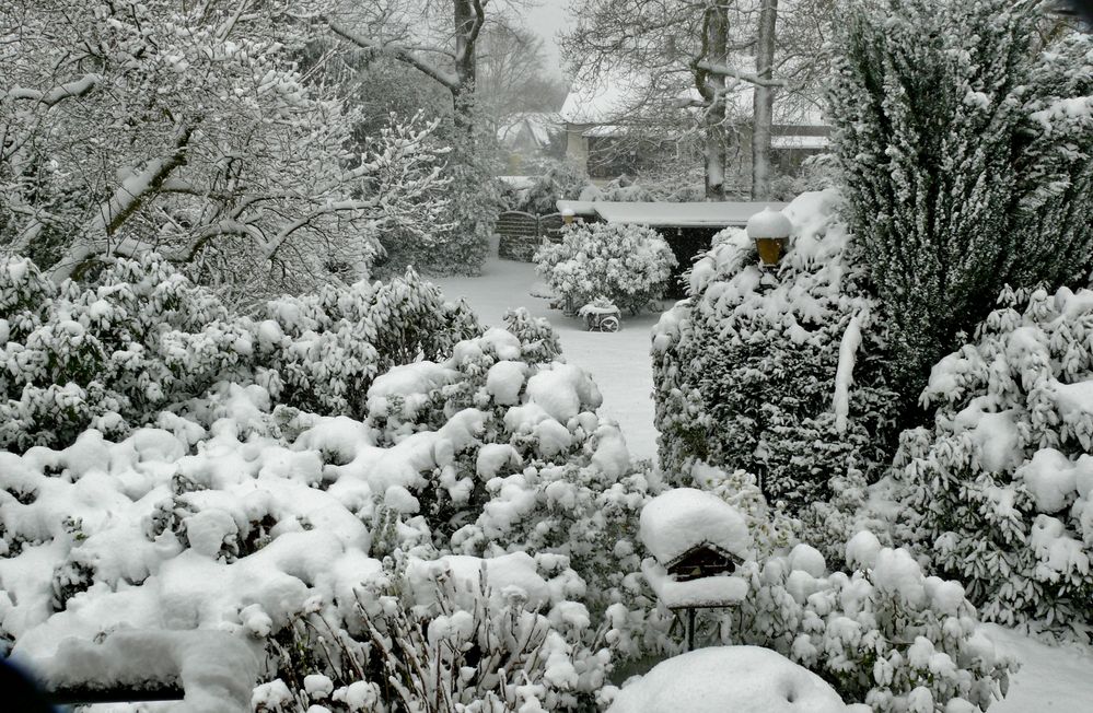 Blick in unseren "Wintergarten"