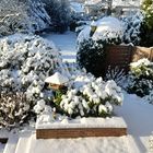Blick in unseren winterlichen Garten