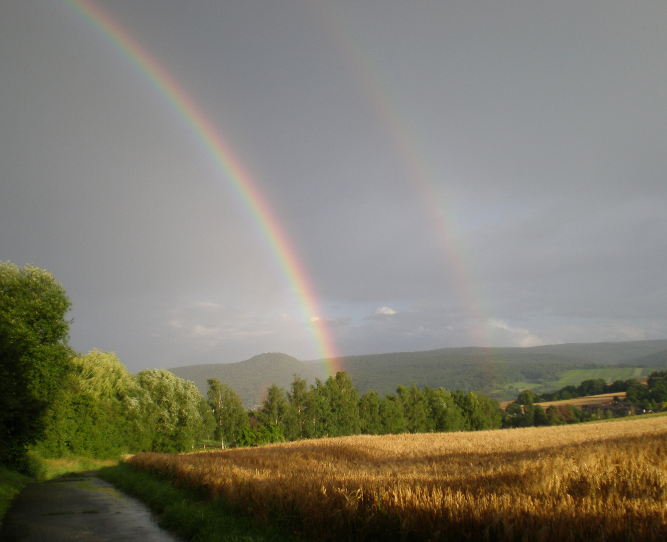 Blick ins Ahrtal