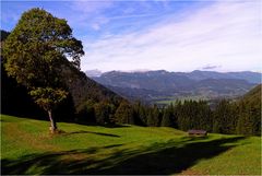 Blick ins Allgäu