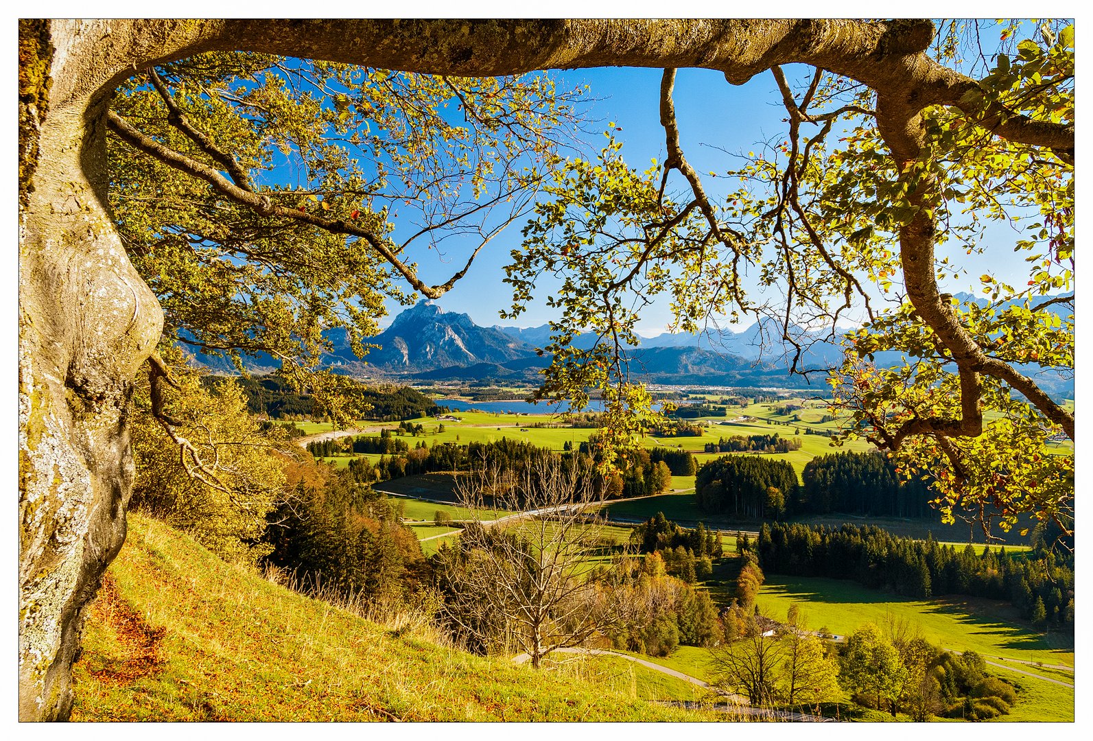 Blick ins Allgäu