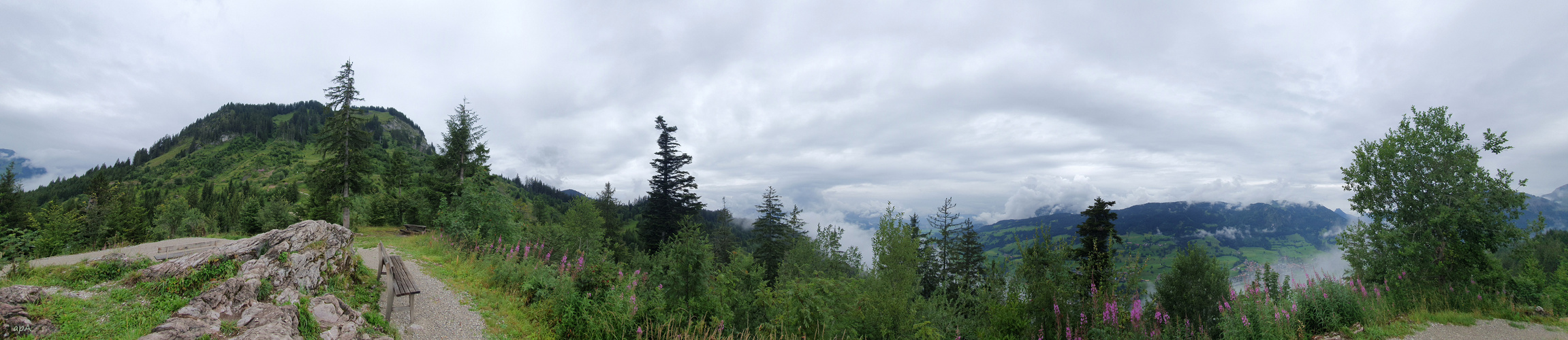 Blick ins Allgäu