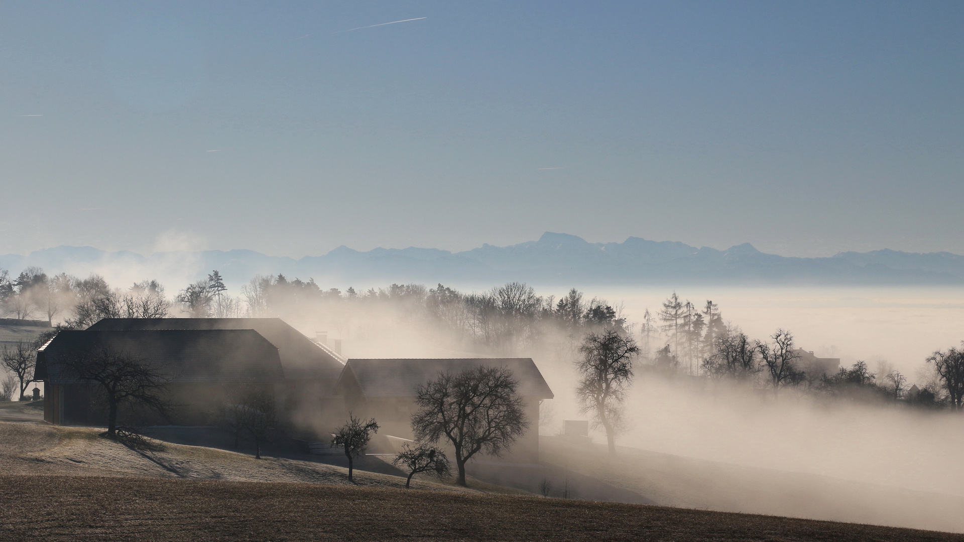 Blick ins Alpenvorland